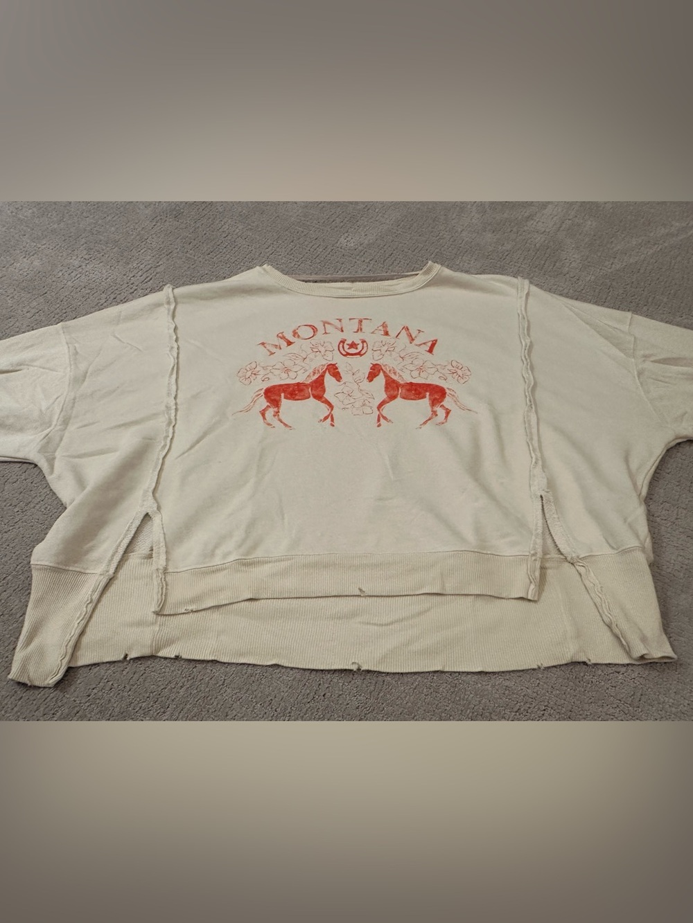 We the Free/ Free People Montana sweatshirt